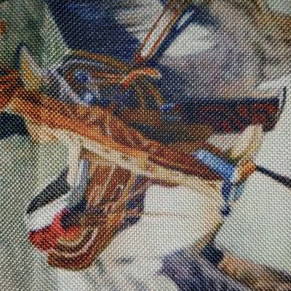 Charro Pillow Cover. Charreria Horse Western Rodeo Caballo - Picture 6 of 11